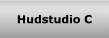 Hudstudio C