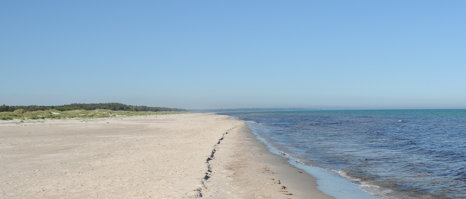 Image0001